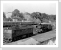 120 307 und 50 3702 stehen schön im Nachmittagslicht im Bw Rathenow Juli 84