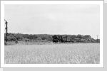 Bei Steinfeld ist 50 3618 mit dem Nahgüterzug auf dem Weg nach Salzwedel Juli 86