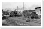 52 8030+52 8035 im Bw Angermünde Okt 84 52 8030+52 8035 im Bw Angermünde Okt 84