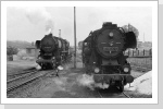 52 8102 und 52 8024 im Bw Angermünde Juli 86 52 8102 und 52 8024 im Bw Angermünde Juli 86