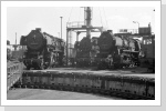 52 8035 50 3693 und 52 8141 im Bw Angermünde Okt 84 52 8035 50 3693 und 52 8141 im Bw Angermünde Okt 84