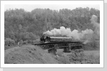 In Rochlitz wurde die 86 1333 angeheizt und ein paar Show Fahrten auf den Viadukt von der Waldheimer Strecke gemacht