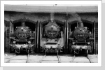 Die obligatorische Fotoparade durfte nicht fehlen im Bw Rochlitz Die obligatorische Fotoparade durfte nicht fehlen im Bw Rochlitz