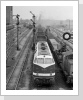 Auch 118 008 war im Bw Brandenburg beheimatet, hier im Gbf bei Ausfahrt in Richtung Magdeburg Okt 84 Auch 118 008 war im Bw Brandenburg beheimatet, hier im Gbf bei Ausfahrt in Richtung Magdeburg Okt 84