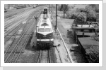 1 Jahr später, im Jahr 1985 hatte 118 008 schon die neuen Motoren bekommen und ihre neue Nummer 118 508 1 Jahr später, im Jahr 1985 hatte 118 008 schon die neuen Motoren bekommen und ihre neue Nummer 118 508