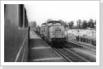 Unterwegs kam planmäßig der Dolomit Zug mit 2 x 11 vom Bw Neuruppin entgegen, hier in Premnitz Juli 84