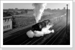 Vier Stunden hatte Dg 50775 in Brandenburg Gbf mit 52 8135 gewartet, um 18 Uhr fuhr der Zug dann mit + 240 los. Sep 87 Vier Stunden hatte Dg 50775 in Brandenburg Gbf mit 52 8135 gewartet, um 18 Uhr fuhr der Zug dann mit + 240 los. Sep 87