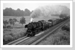 52 8189 mit Dg 52134 hinter Potsdam Wildpark Juli 87 52 8189 mit Dg 52134 hinter Potsdam Wildpark Juli 87