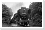 Völlig überrascht kam Dg 54733 mir unpassend vor die Linse gefahren Juli 87 Völlig überrascht kam Dg 54733 mir unpassend vor die Linse gefahren Juli 87
