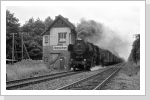 Hier habe ich den Dg 54733 am Bk Altenplathow aufgenommen. Der Zug wurde mit Lü A angemeldet, was auch Panzer im Zugverband bedeuten könnte. Die Stellwerkerin war sehr hysterisch, als ich nach diesem Zug gefragt hatte und ihn fotografieren wollte. Ich habe mich dann doch versteckt und kurz vor der Zugfahrt aus der Deckung aufgetaucht. Was war Lü A, nur ein riesiger G-Wagen an 2. Stelle Juli 87 Hier habe ich den Dg 54733 am Bk Altenplathow aufgenommen. Der Zug wurde mit Lü A angemeldet, was auch Panzer im Zugverband bedeuten könnte. Die Stellwerkerin war sehr hysterisch, als ich nach diesem Zug gefragt hatte und ihn fotografieren wollte. Ich habe mich dann doch versteckt und kurz vor der Zugfahrt aus der Deckung aufgetaucht. Was war Lü A, nur ein riesiger G-Wagen an 2. Stelle Juli 87