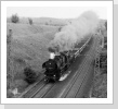 Bei satzkorn auf dem Berliner Außenring Juli 88 Bei satzkorn auf dem Berliner Außenring Juli 88