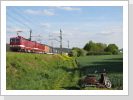 243 179+864 Delta Rail mit Container in Rothenstein am 18.5.2020