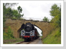 01 0509 Press in Krölpa am 18.8.2024 01 0509 Press in Krölpa am 18.8.2024