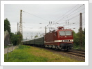 243 005 Tradi Halle P in Naumburg/Saale 31.8.2024 243 005 Tradi Halle P in Naumburg/Saale 31.8.2024