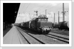 254 110 kommt mit Güterzug in Altenburg an Juli 85 254 110 kommt mit Güterzug in Altenburg an Juli 85