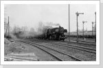 Mit dem Mittagszug kommt die 52 8120 wieder nach Beucha aus Trebsen zurück März 87 Mit dem Mittagszug kommt die 52 8120 wieder nach Beucha aus Trebsen zurück März 87