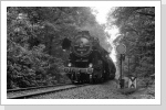 52 8077 am Spiegelei bei Altenhain Juli 87 52 8077 am Spiegelei bei Altenhain Juli 87