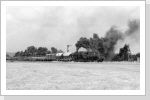 Hinter Altenhain ist 52 8096 auf dem Weg nach Trebsen Juli 87 Hinter Altenhain ist 52 8096 auf dem Weg nach Trebsen Juli 87