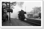 52 8105 verlässt mit Nahgüterzug nach Eilenburg den oberen Bahnhof Falkenberg Mai 85