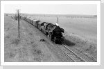 52 8044 erreicht mit Nahgüterzug aus Falkenberg Jüterbog Juli 85 52 8044 erreicht mit Nahgüterzug aus Falkenberg Jüterbog Juli 85
