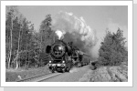 Im November 89 gab es einen kleinen Plandampf mit 52 8120 und der Luckauer 65 1008. 52 8120 bespannte einen P-Zug von Herzberg nach Falkenberg bei Klein Rössen Im November 89 gab es einen kleinen Plandampf mit 52 8120 und der Luckauer 65 1008. 52 8120 bespannte einen P-Zug von Herzberg nach Falkenberg bei Klein Rössen