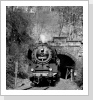 Am 14.3.1990 regierte wieder König Dampf im Muldental, hier passiert 50 3696 den Rochsburger Tunnel mit Gag 56355