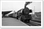 50 3553 mit P-Zug nach Aschersleben in Halberstadt Hinter der Lok hängt der Prototyp vom Bghw Wagen der noch mal rekonstruiert wurde. Dez 84 50 3553 mit P-Zug nach Aschersleben in Halberstadt Hinter der Lok hängt der Prototyp vom Bghw Wagen der noch mal rekonstruiert wurde. Dez 84