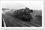 50 3631 kommt mit dem Nahgüterzug 61746 in Halberstadt an 1984 50 3631 kommt mit dem Nahgüterzug 61746 in Halberstadt an 1984