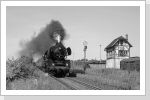 Im Sommer 1990 fuhr 50 3708 wieder mal Plandienst nach Magdeburg Hier verlässt sie Oschersleben/Bode Im Sommer 1990 fuhr 50 3708 wieder mal Plandienst nach Magdeburg Hier verlässt sie Oschersleben/Bode