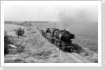 50 3705 fährt mit der Übergabe Altenweddingen aus Blumenberg aus. Ein Försterhochstand diente als Fotostandpunkt Juli 87