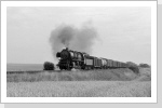 Noch eine weitere Aufnahme vor Beyendorf von 50 3705 mit N 61744 Juli 87