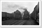 Kurzes Stelldichein mit der 50 3556 mit N 61744 in Blumenberg Dez 87