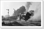Einen Sondergüterzug bespannte 50 3559 von Hadmersleben nach Halberstadt, hier die Ausfahrt Hadmersleben Mai 88