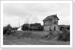 50 3606 bespnnt in Oschersleben ihren N 61747 nach Mg Buckau Juli 88