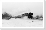41 1182 bespannte den D 503, was nur ging, wenn der Zug + 60 hatte, wegen Personalwechsel in Göschwitz. Februar 86