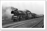 Im September 86 fuhr 41 1137 und 41 1185 einen Soli Zug von Magdeburg nach Salzwedel, hier in Kläden Im September 86 fuhr 41 1137 und 41 1185 einen Soli Zug von Magdeburg nach Salzwedel, hier in Kläden