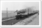 41 1231 mit Gz zwischen Magdeburg Buckau und Schönebeck in Schönebeck Frohse Juli 87 41 1231 mit Gz zwischen Magdeburg Buckau und Schönebeck in Schönebeck Frohse Juli 87