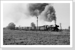 Im Bk Abstand folgte der N 61752 mit 41 1185 vorwärts nach Magdeburg Buckau fahrend Im Bk Abstand folgte der N 61752 mit 41 1185 vorwärts nach Magdeburg Buckau fahrend