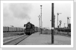 50 3685 kommt mit dem Dg aus Hagenow Land nach Seddin in den Wittenberger Bahnhof gerollt. Aug 84