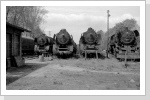 Da stehen sie nun in vier Reihen, die Bolieden der vergangenen Epoche. Es kam leider nie zum Rückbau der BR 50 auf Kohle Da stehen sie nun in vier Reihen, die Bolieden der vergangenen Epoche. Es kam leider nie zum Rückbau der BR 50 auf Kohle