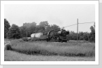 50 3637 fuhr anschließend die Übergabe nach Kyritz hier auch wieder an der Pampastelle hinter Neustadt Juli 85 50 3637 fuhr anschließend die Übergabe nach Kyritz hier auch wieder an der Pampastelle hinter Neustadt Juli 85