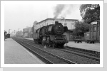 50 3561 rangiert auf ihrem Heimat Bahnhof Neustadt/Dosse  am Hausbahnsteig Juli 85