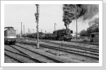 Schon im August 83 war 50 3561 in Neustadt/Dosse zu sehen, hier bei Ausfahrt mit dem Dg 53856 Schon im August 83 war 50 3561 in Neustadt/Dosse zu sehen, hier bei Ausfahrt mit dem Dg 53856