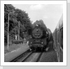 Unterwegs auf dem Weg von Wittenberge nach Finkenkrug kam mir der Dg 53856 planmäßig bei Zernitz entgegen 50 3645 im Juli 85