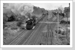 50 3680 verlässt Wittenberge mit dem Nahgüter nach Ludwigslust, während 50 3545 rechts mit dem Brückenpendel angekommen ist. Juli 86 50 3680 verlässt Wittenberge mit dem Nahgüter nach Ludwigslust, während 50 3545 rechts mit dem Brückenpendel angekommen ist. Juli 86