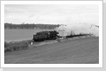 50 3645 kommt bei Weisen mit dem Wittstocker Nahgüter vorbei Juli 86 50 3645 kommt bei Weisen mit dem Wittstocker Nahgüter vorbei Juli 86