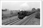 50 3696 dann mit dem Dg 53856 hinterher 50 3696 dann mit dem Dg 53856 hinterher
